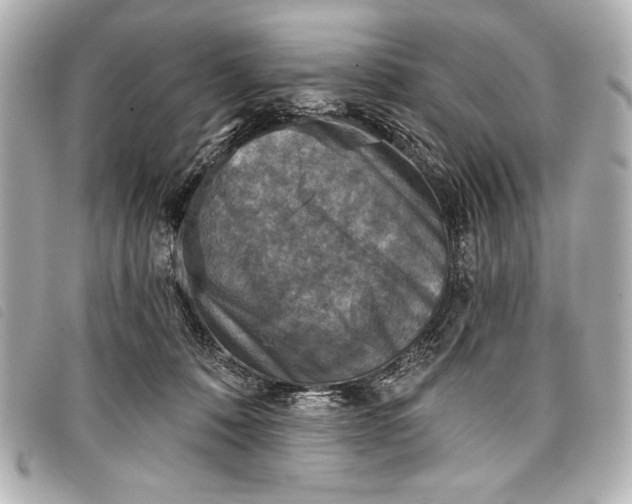 X0000098110320200804181459