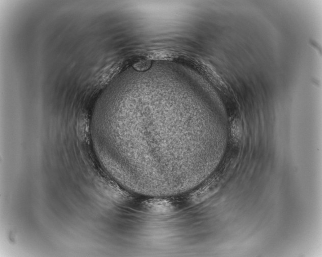 X0000098110322200804181459
