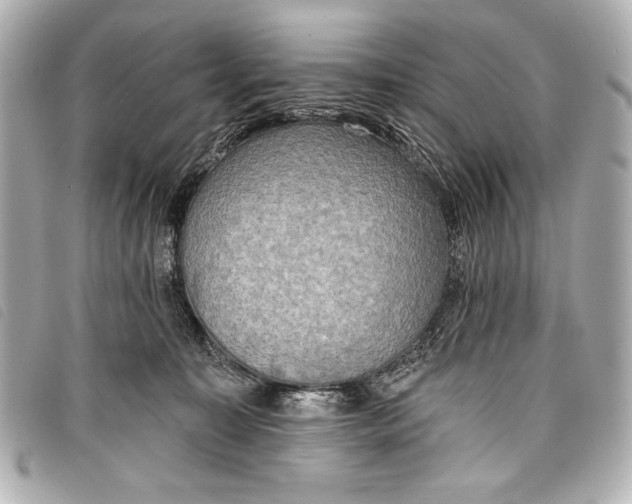 X0000098110323200804181459