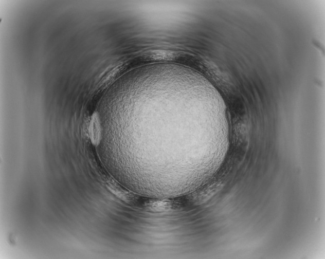 X0000098110325200804181459