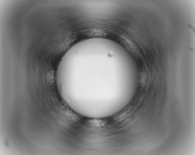 X0000098110326200804181459