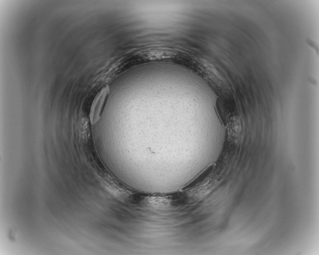 X0000098110327200804181459
