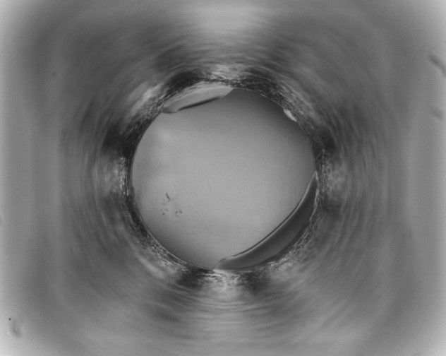 X0000098110328200804181459
