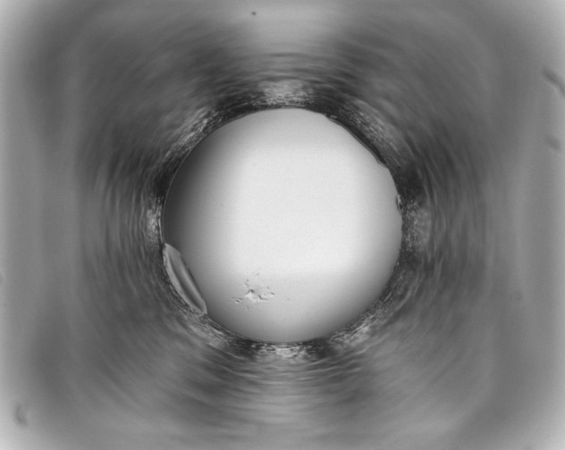 X0000098110329200804181459