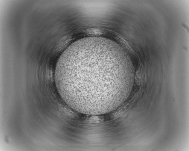 X0000098110330200804181459