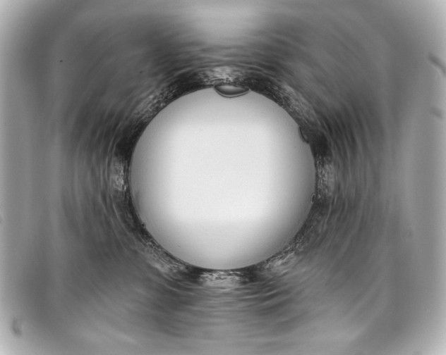 X0000098110331200804181459