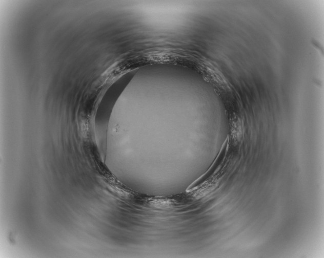 X0000098110332200804181459