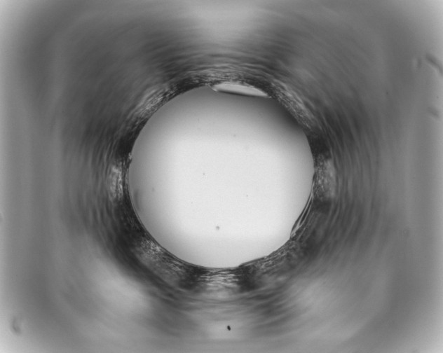 X0000098110333200804181459