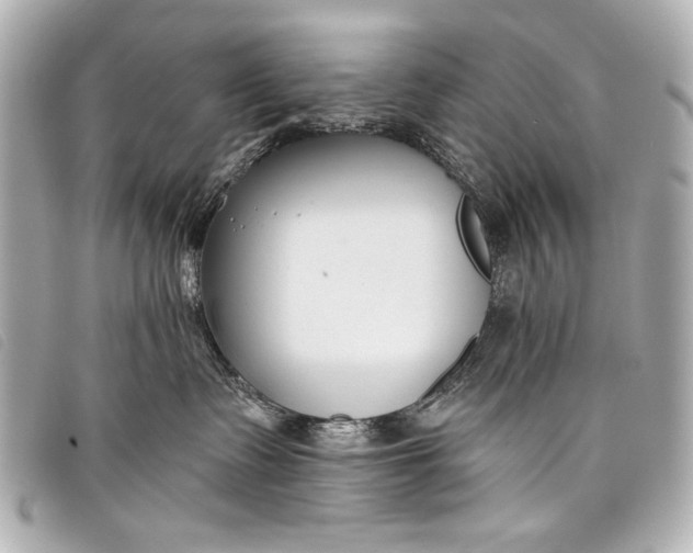 X0000098110335200804181459