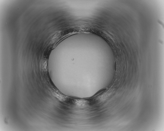 X0000098110336200804181459