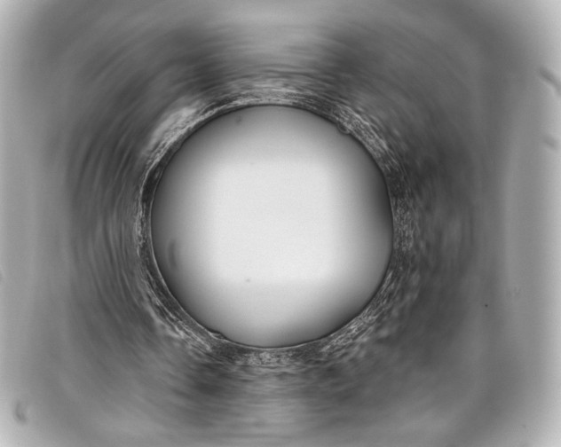 X0000098110338200804181458