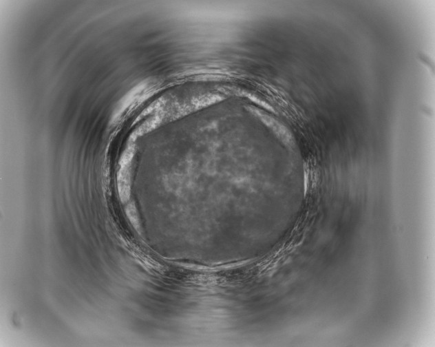X0000098110339200804181458