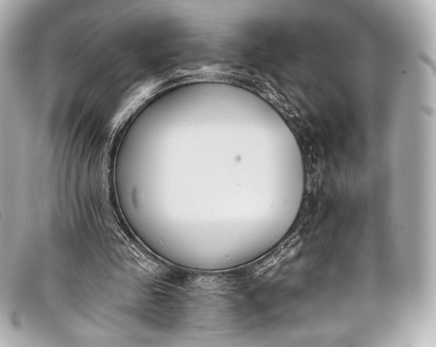X0000098110341200804181458
