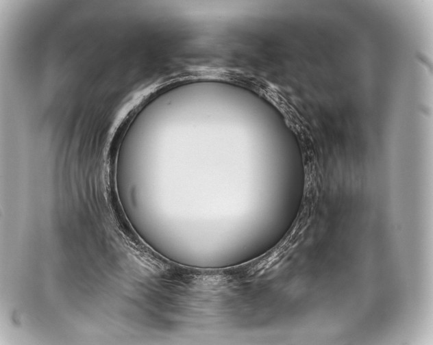 X0000098110342200804181458