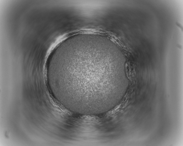 X0000098110343200804181458