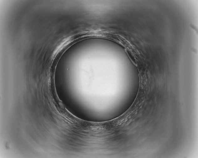 X0000098110344200804181458