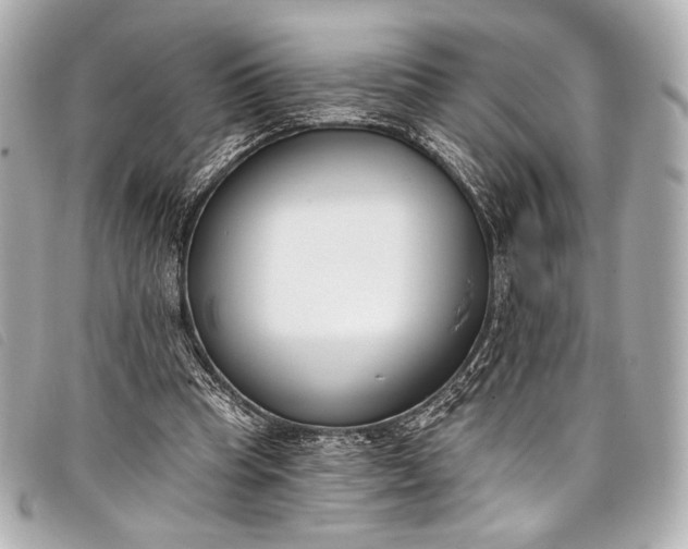 X0000098110345200804181458