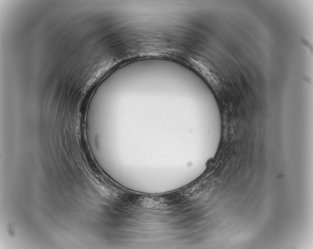 X0000098110346200804181458