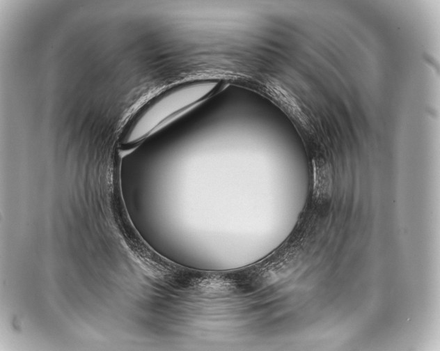 X0000098110348200804181458