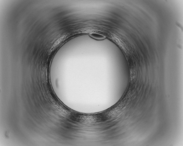 X0000098110349200804181458
