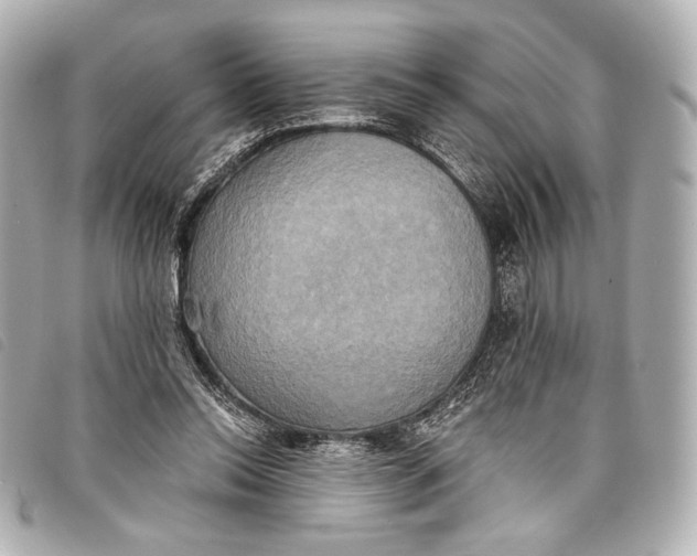 X0000098110350200804181458