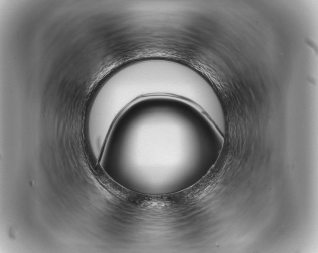 X0000098110352200804181458