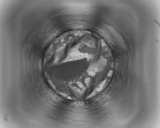 X0000098110353200804181458