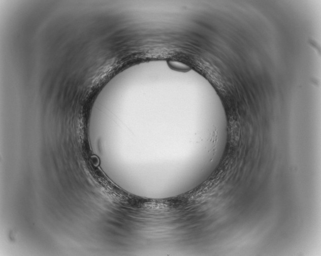 X0000098110354200804181458