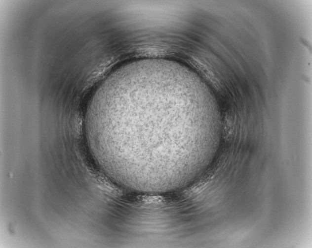 X0000098110355200804181458