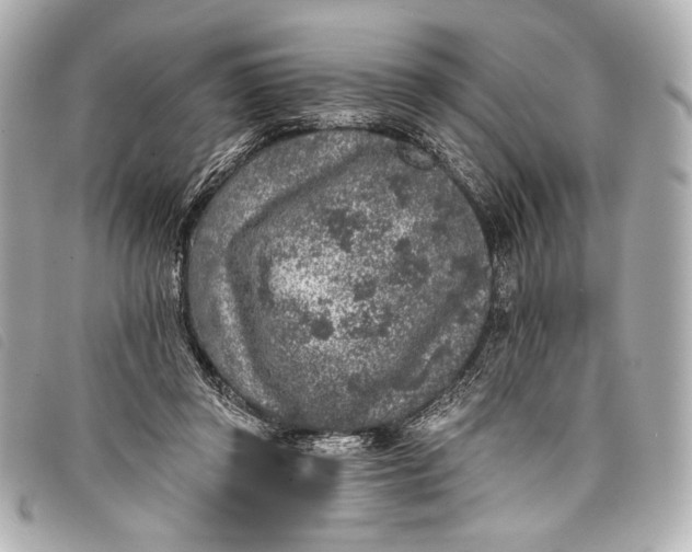 X0000098110357200804181458