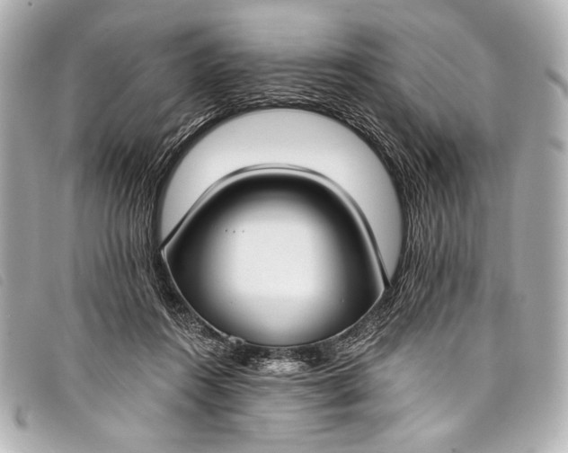 X0000098110360200804181458