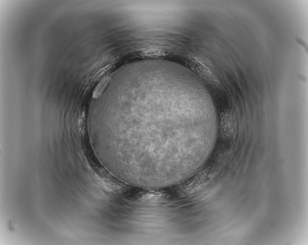 X0000098110364200804181458