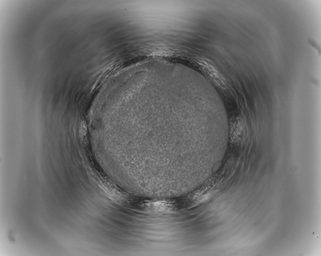 X0000098110365200804181458