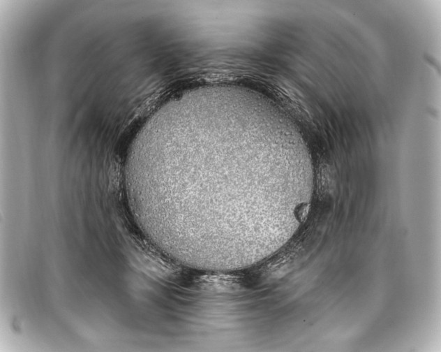 X0000098110367200804181458