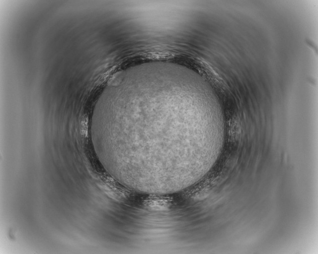 X0000098110368200804181458