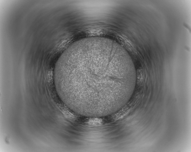 X0000098110369200804181458
