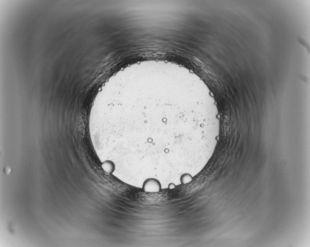 X0000098110370200804181458