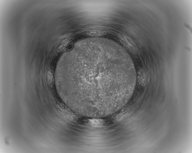 X0000098110371200804181458