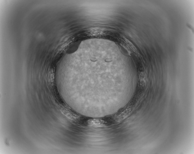 X0000098110372200804181458