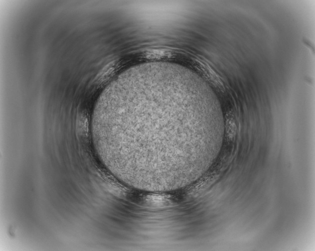 X0000098110375200804181459
