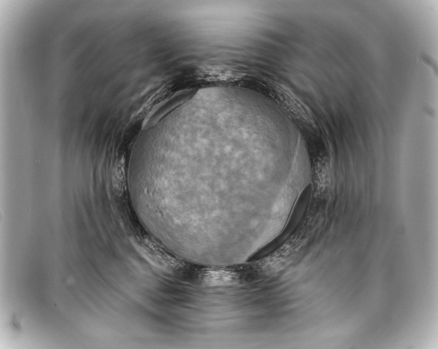 X0000098110376200804181459