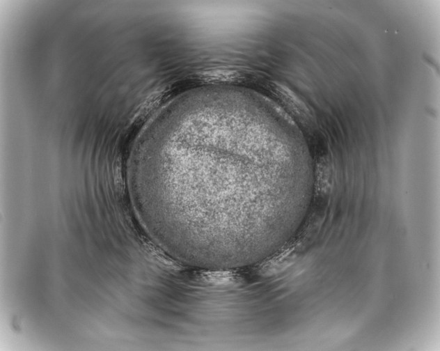 X0000098110377200804181459