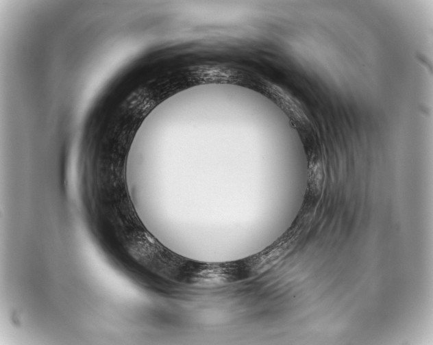 X0000098110381200804181459