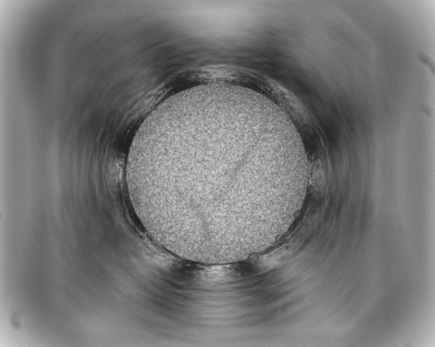 X0000098110382200804181459