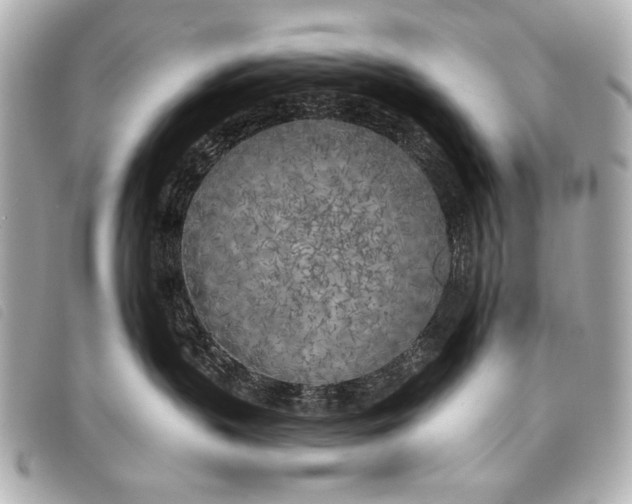 X0000098110383200804181459