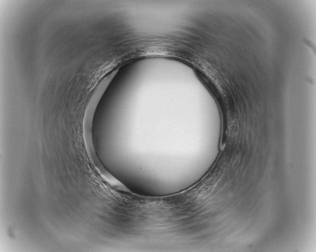X0000098110385200804181458