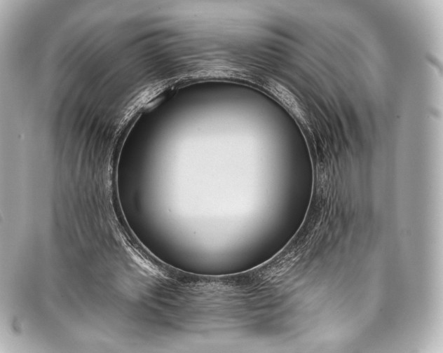 X0000098110389200804181458