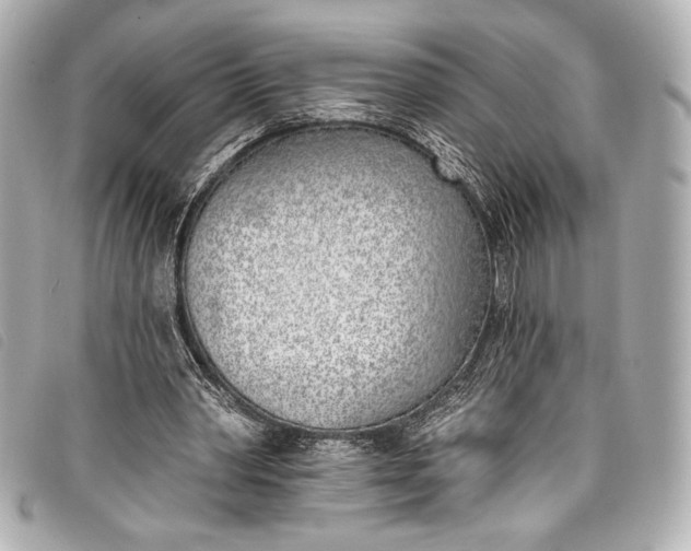 X0000098110390200804181458
