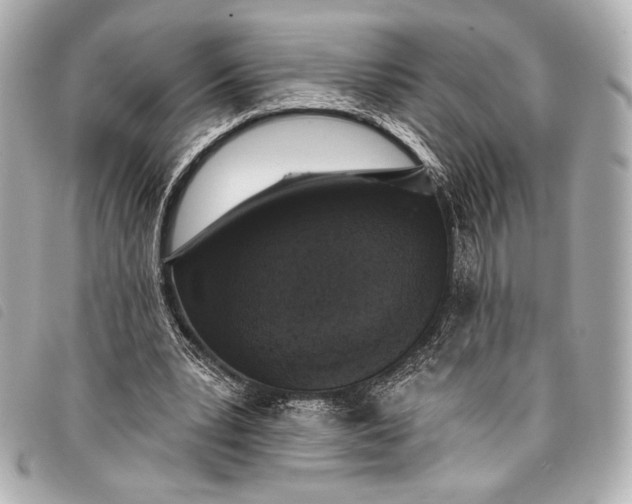 X0000098110391200804181458