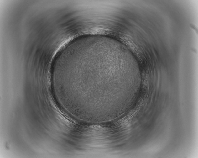 X0000098110392200804181458